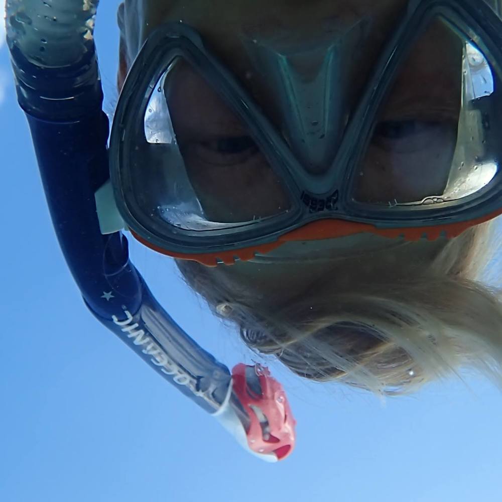 Meet your Posher, Shirley